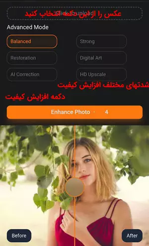 بخشهای مختلف سایت