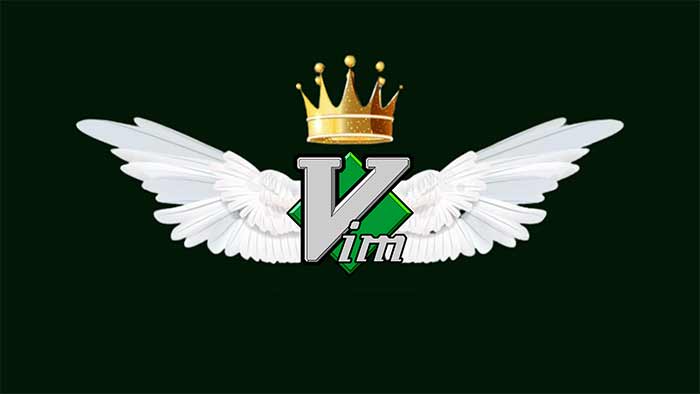Vim چیست؟ آموزش 0 تا 100 در لینوکس و ویندوز با PDF رایگان