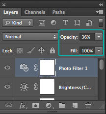Layers Palette - Opacity and Fill