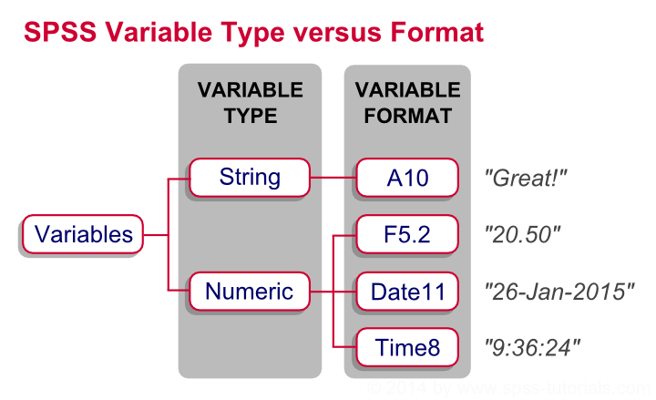 انواع متغیرهای آماری و نحوه تعریف متغیرهای پرسشنامه در Spss (با مثال)