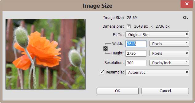 رزولوشن و سایز مناسب عکس را با رفتن به Image > Image Size چک کنید.