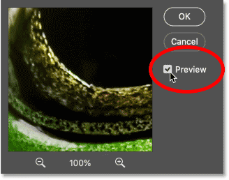 C: \ Users \ Mr \ Desktop \ unsharp-mask-preview-option-photoshop.jpg