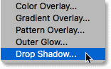 choose-drop-shadow.png
