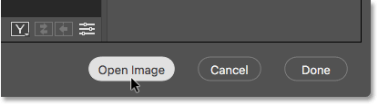 Clicking the Open Image button in Camera Raw.