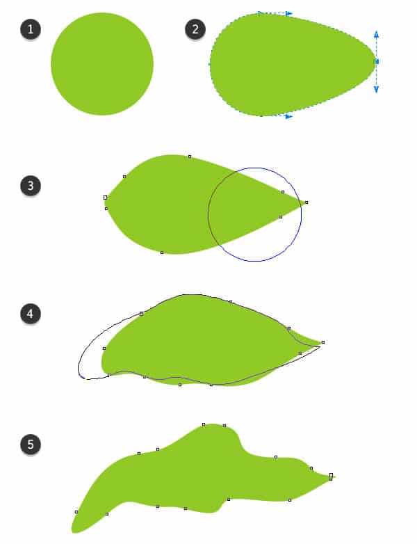 Create a Leaf from an Ellipse and the Smear Tool