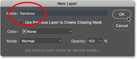 Naming the new layer in the New Layer dialog box. 