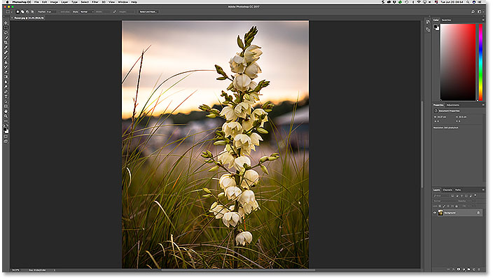 The image re-opens in Photoshop.