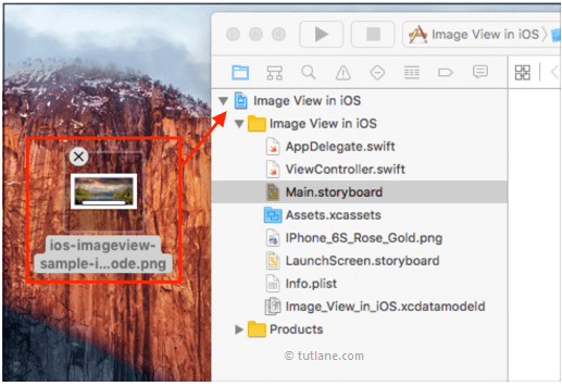 C: \ Users \ mohammad \ Desktop \ ios-imageview-add-images-to-project-in-xcode.png