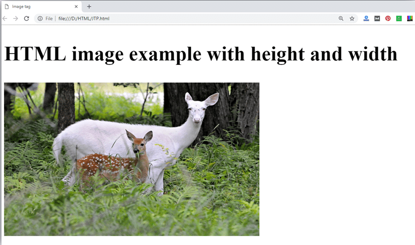 HTML Image