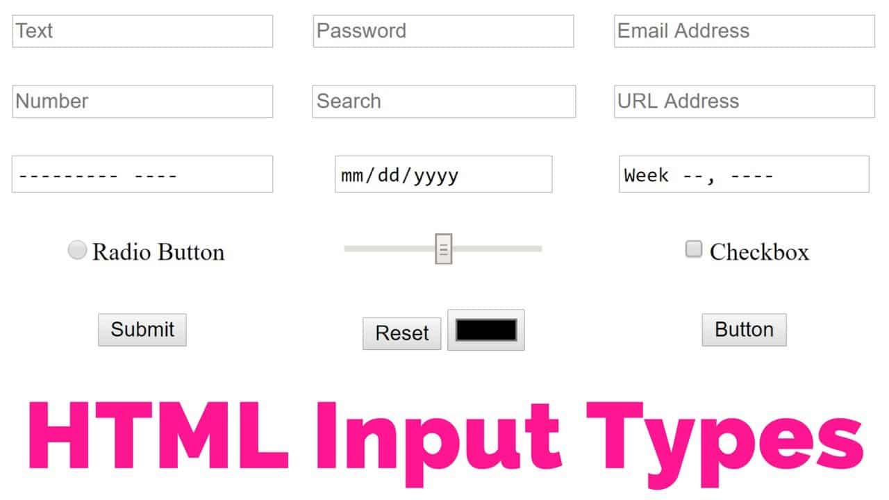 آموزش انواع ورودی فرم در HTML به زبان ساده