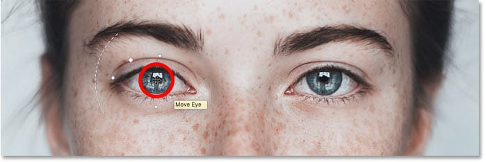 move-eye-face-tool-photoshop.jpg