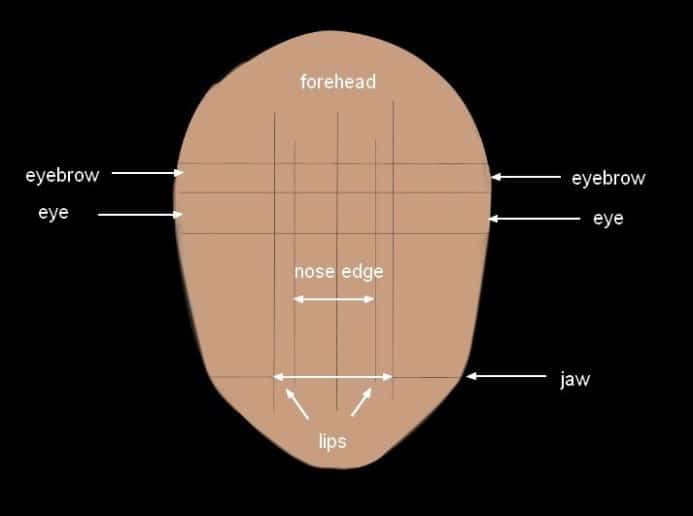 با کشیدن خطوط راهنما، جای اعضای صورت را به طور تقریبی مشخص کنید.