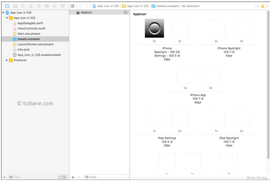 After adding icon to ios app in xcode editor