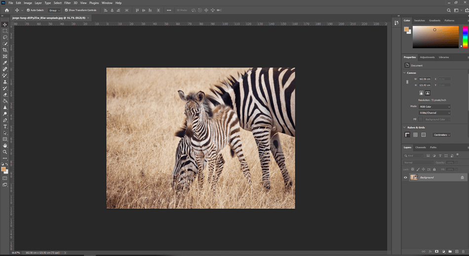 How to Crop in Photoshop 1