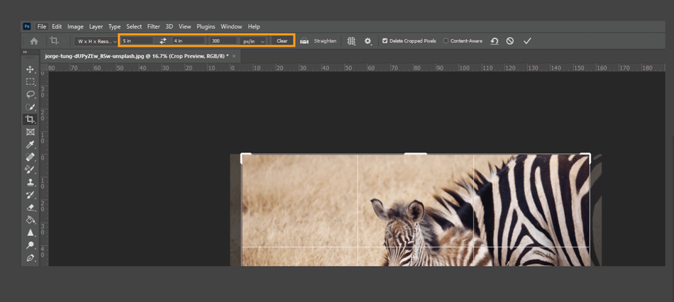 How to Crop in Photoshop 10