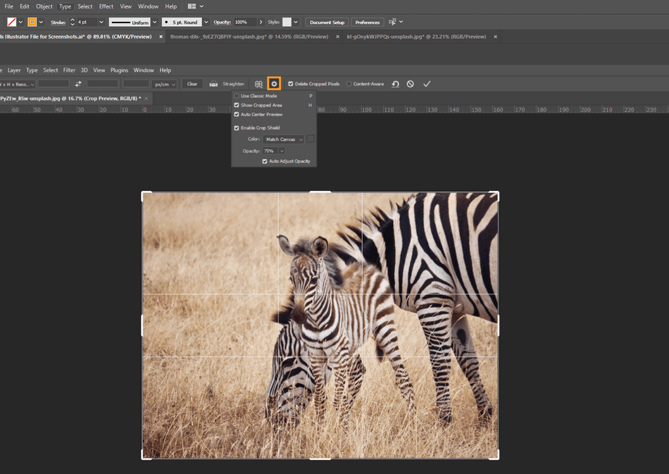 How to Crop in Photoshop 15