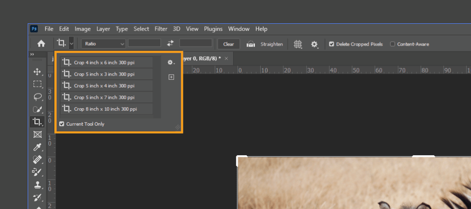How to Crop in Photoshop 5