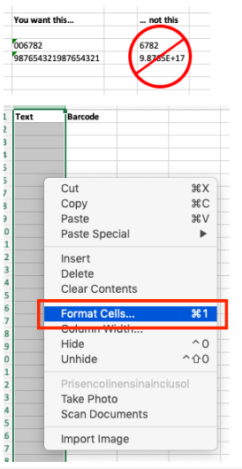 روی Format Cells کلیک کنید ، روی Number کلیک کنید ، روی Text کلیک کنید