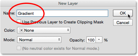 The New Layer dialog box. 