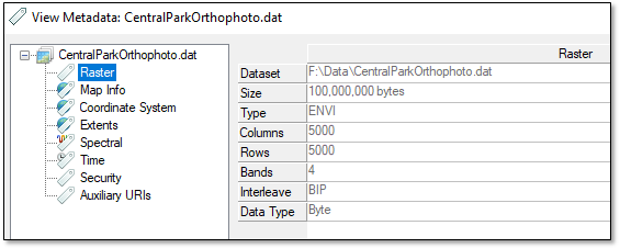 روی CentralParkOrthophoto.dat در Layer Manager کلیک راست کرده و View Metadata را انتخاب کنید.