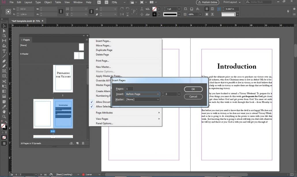 Inserting Pages on Indesign