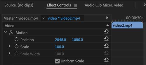 در بخش Video Effects، گزینه‌ های Position و Scale را پیدا کنید.